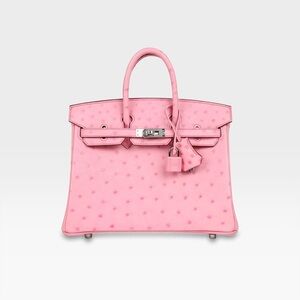 Hermès - Birkin 25 - Bubblegum Ostrich Boreal